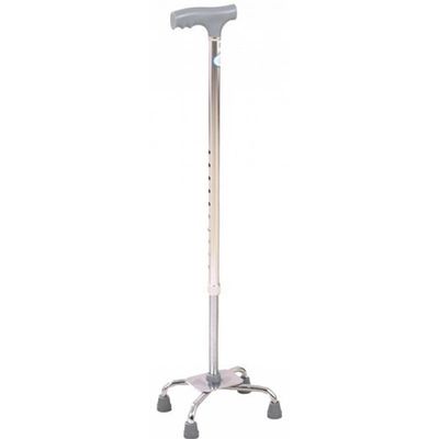 Cane