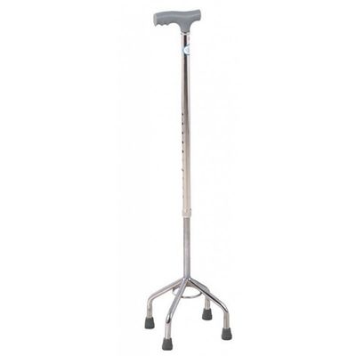 Cane