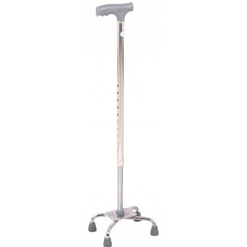 Cane